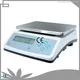 Reliable stainless steel bench scale at sale | W&J 1