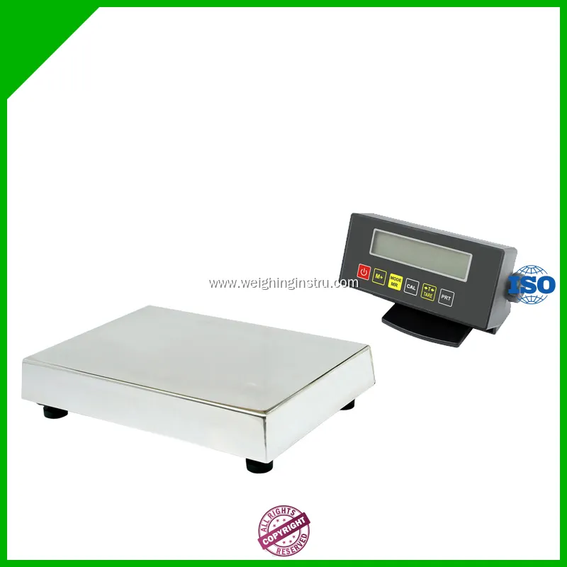 12.2 Stainless Steel Electronic Bench Scale with Remote LCD Display 1