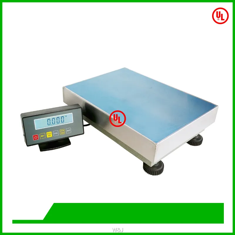 Industrial Platform Weighing Scale with LCD, Rechargeable Battery, 300-500mm Pan 1