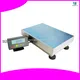 Stainless Steel Bench Scale - High Precision & Durable 1