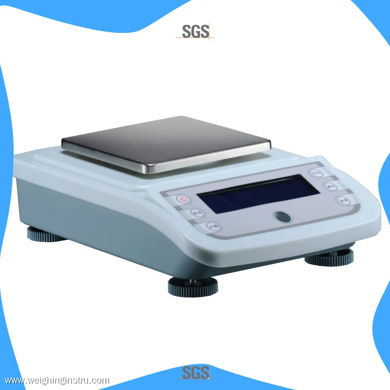 WA-X Series Portable Industrial Scale – External Calibration, Up to 6kg 1