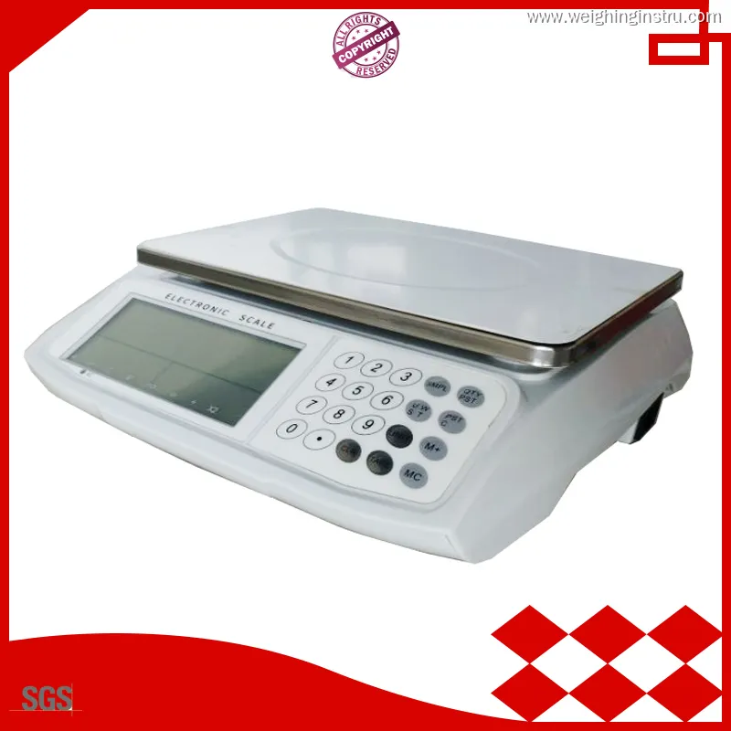 W&J Electronic Industrial Weighing and Counting Scale – High Accuracy & Durable 1