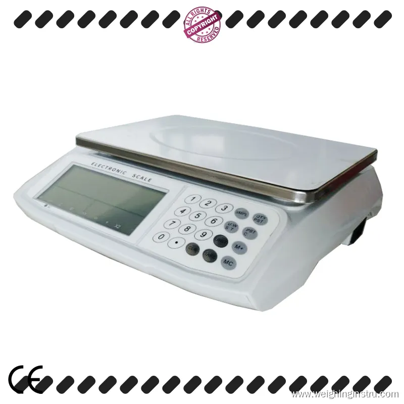 W&J Electronic Digital Industrial Counting Scale – High Accuracy & Customizable 1