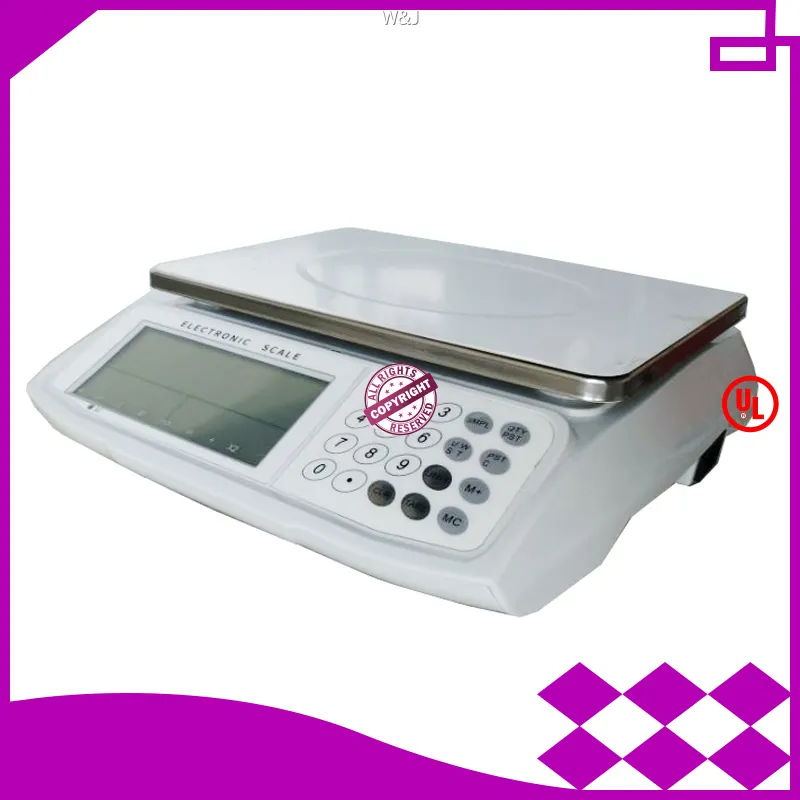 W&J Electronic Industrial Weight Counting Scale – High Accuracy & Customizable 1