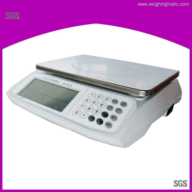 W&J Industrial Electronic Weighing and Counting Scale – High Accuracy, Customizable 1