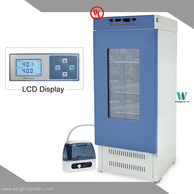 Bacteriological Incubator - Precision Temperature Control 1