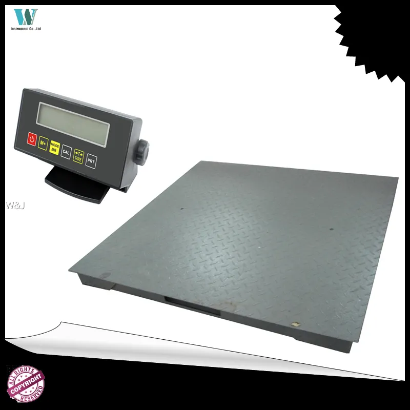 Single Deck Floor Scale with Ramp1 1