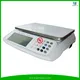 High Precision Industrial Weight Counting Machine 1