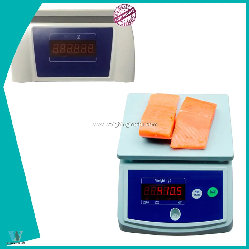 Water Resistant Double LED Scale - MT Series 1