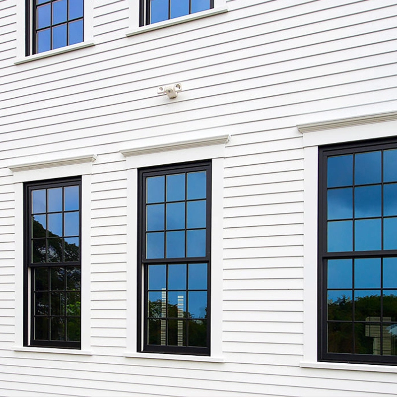 Black Frame Aluminum Vertical Sliding Single-Hung Window 1