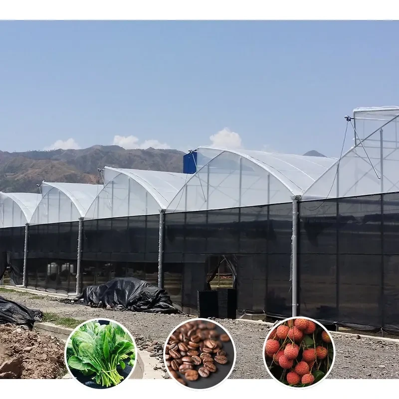 نفق بلاستيكي مقاوم للأشعة فوق البنفسجية، دفيئة زراعية متعددة الامتدادات ذات تصميم مسنن، معروضة للبيع 1