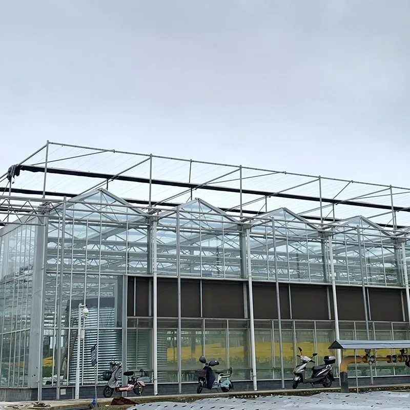 Invernadero Venlo de varios tramos, automatizado, inteligente y agrícola, de vidrio templado 1