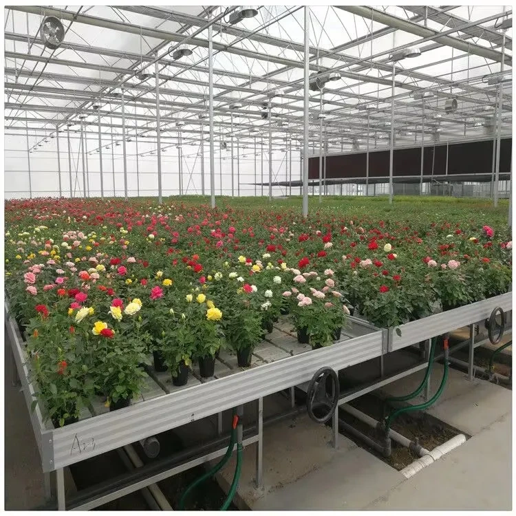 Mesa de cultivo móvil con ruedas ABS Flood de Ebb Flow Nursery 1