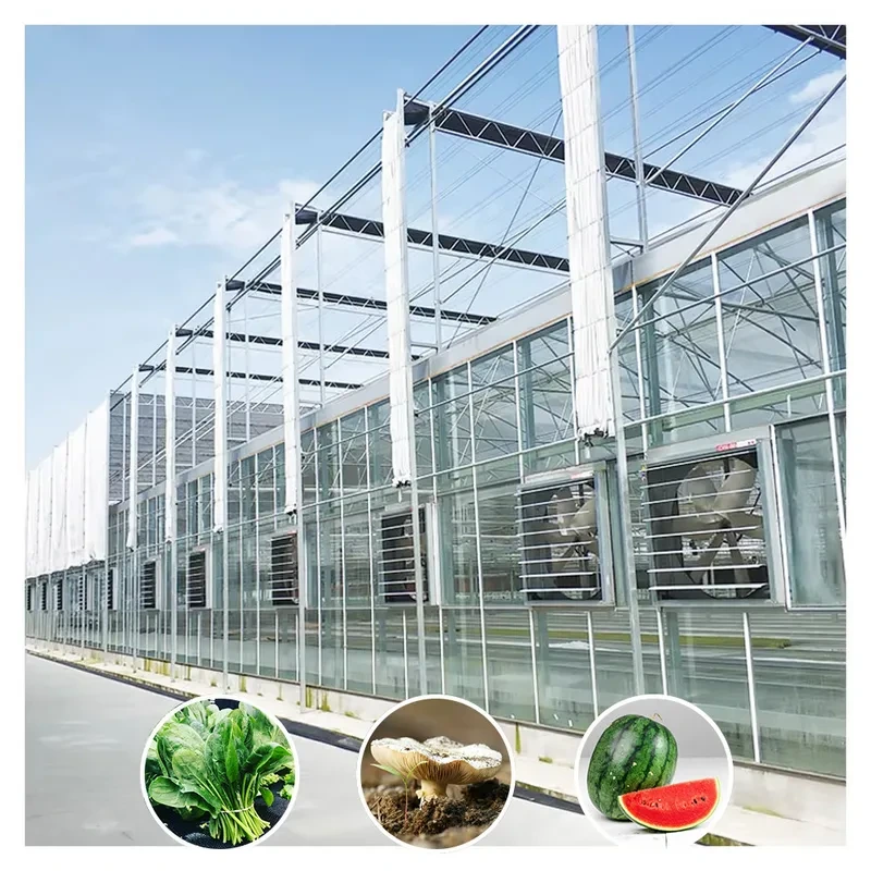 بيت زجاجي زراعي متعدد الأقواس من طراز فينلو، مقاوم للرياح، مزود بشبكة تظليل 1