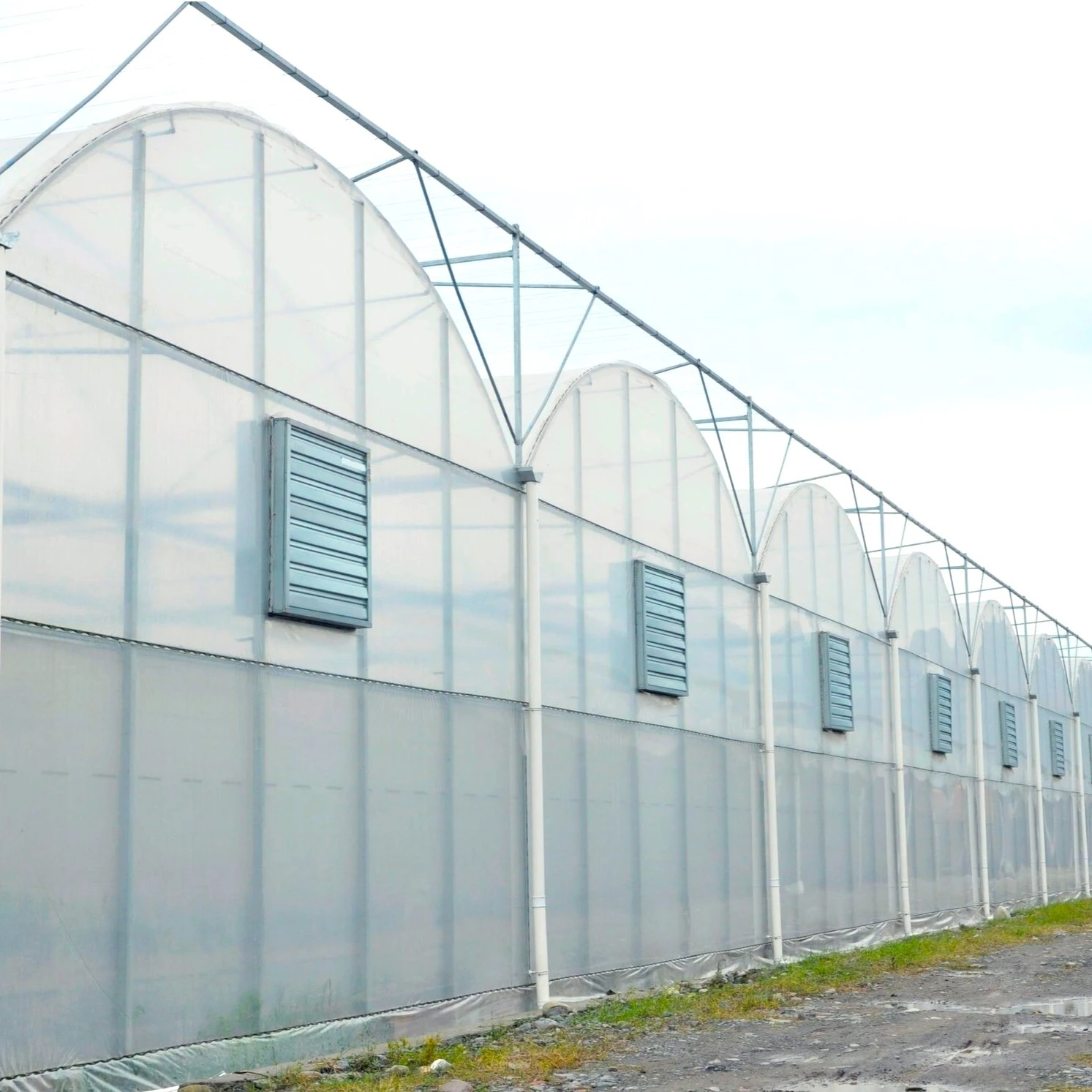 Invernadero de película de túnel de varios tramos 1