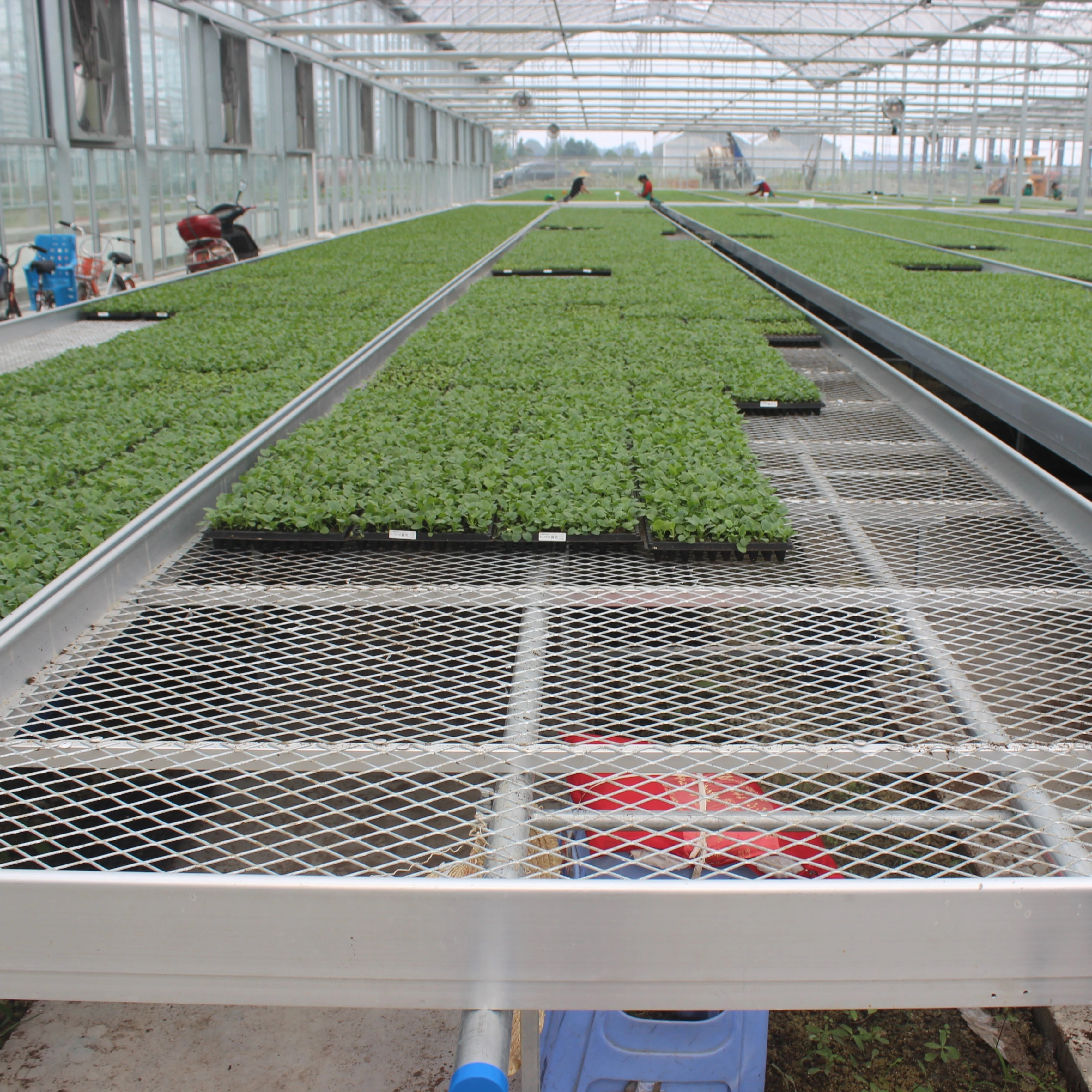 Banc de serre en treillis métallique 1