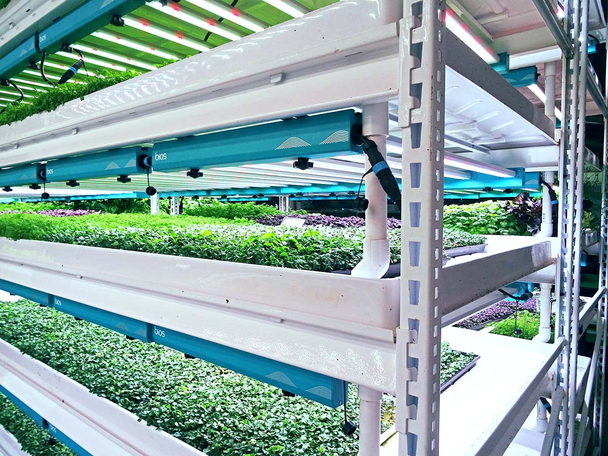 Growing Boxes On Module Rack Greenhouse Multi-Layer Growing Rack Rolling Bench System | AX Greenhouse