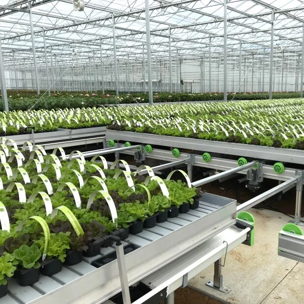 Bancada de cultivo móvel guiada por trilhos 1