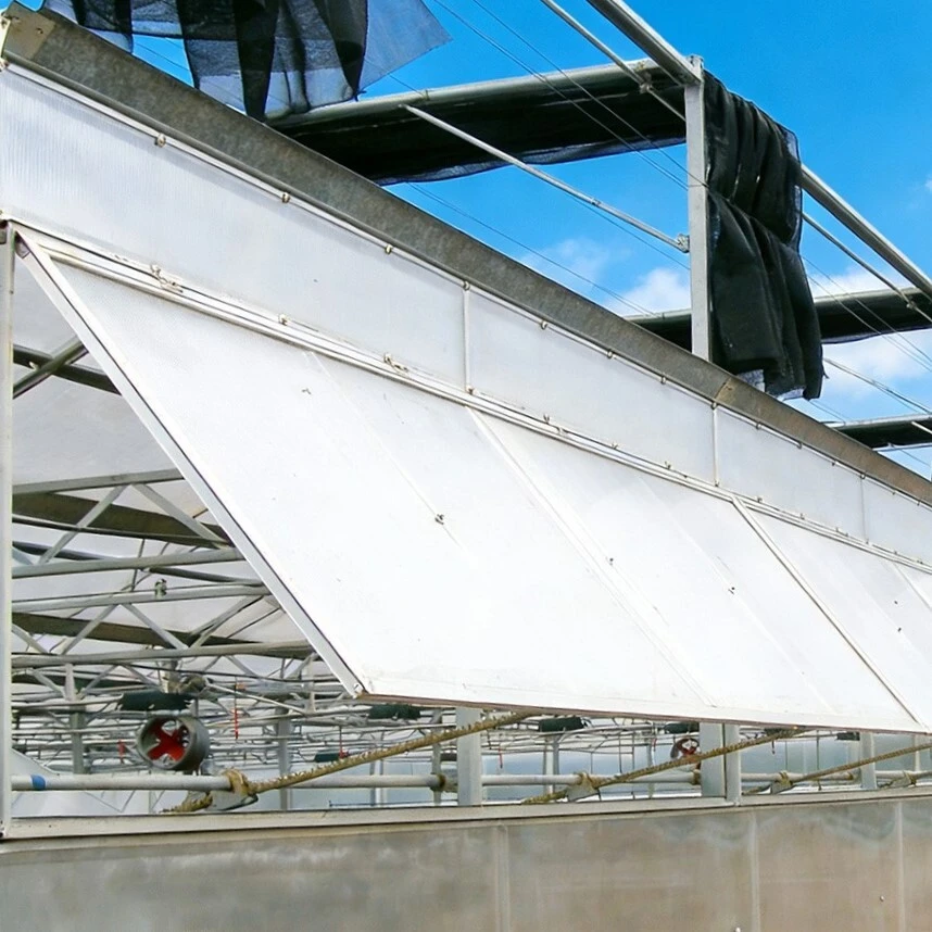 Natural (Passive) Greenhouse Ventilation 1