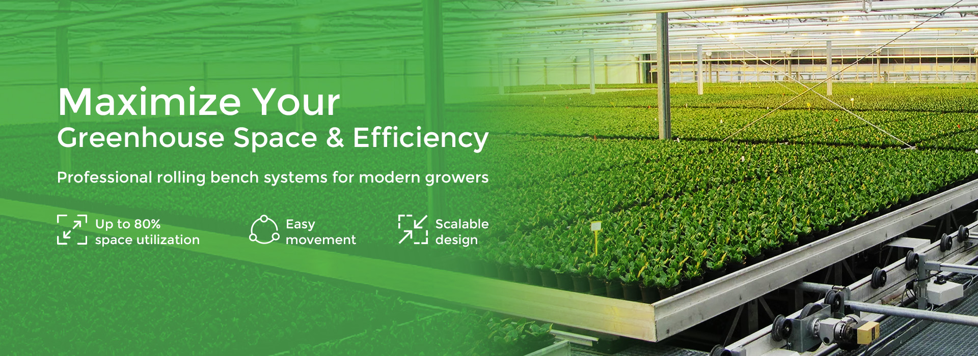 1768556388313-banner (2)