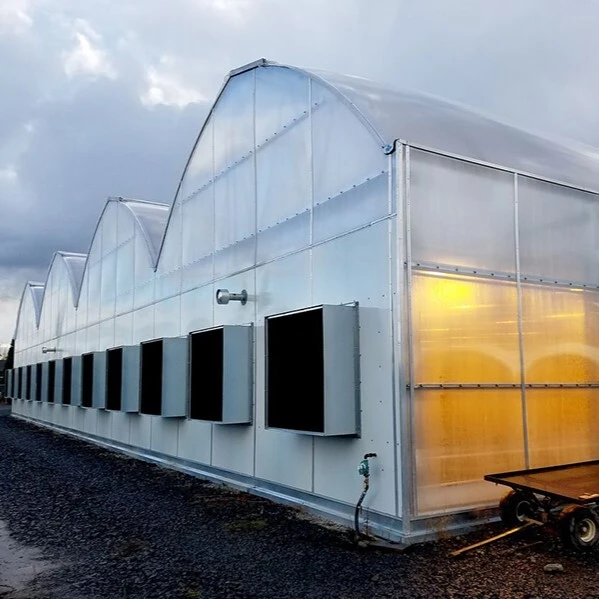 Multi-Span Gothic PC Panel Greenhouse 1