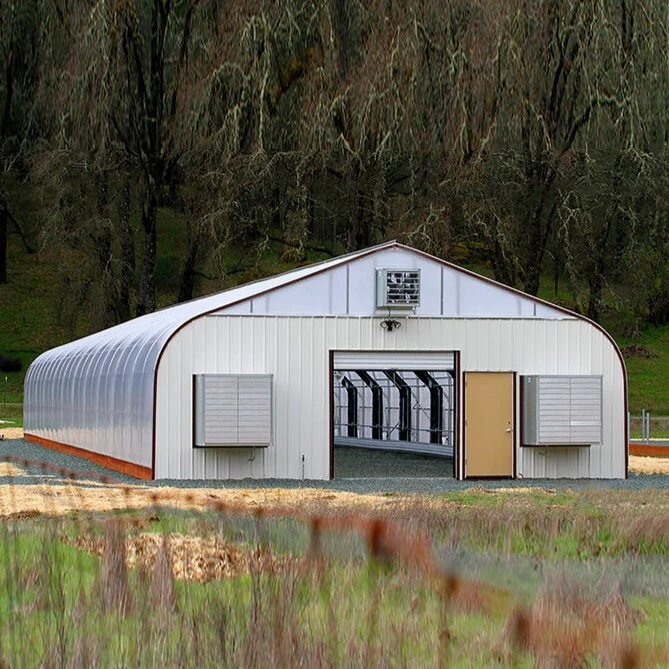 Invernadero gótico opaco de un solo tramo 1