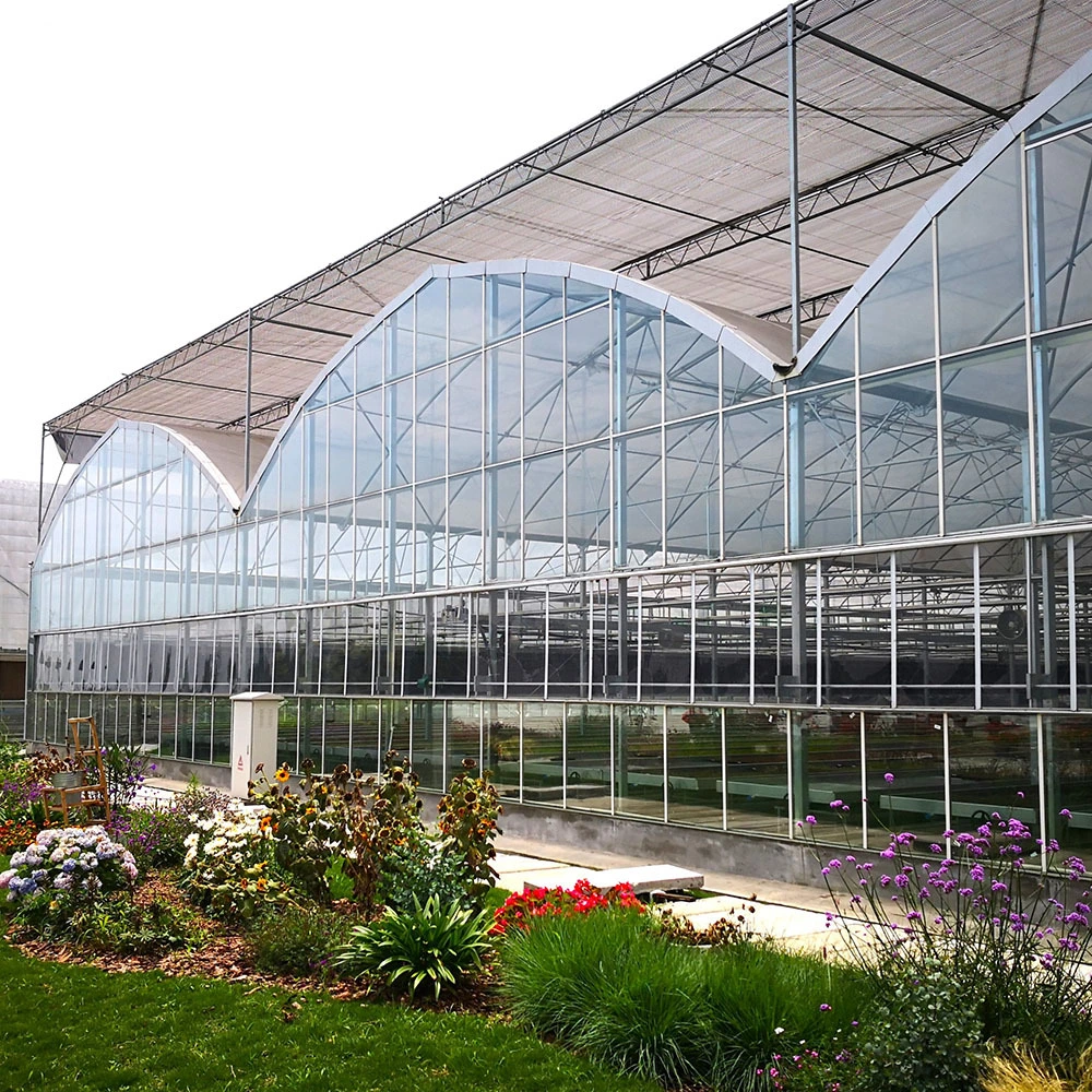 Multi-Span Gothic Glass Greenhouse 1