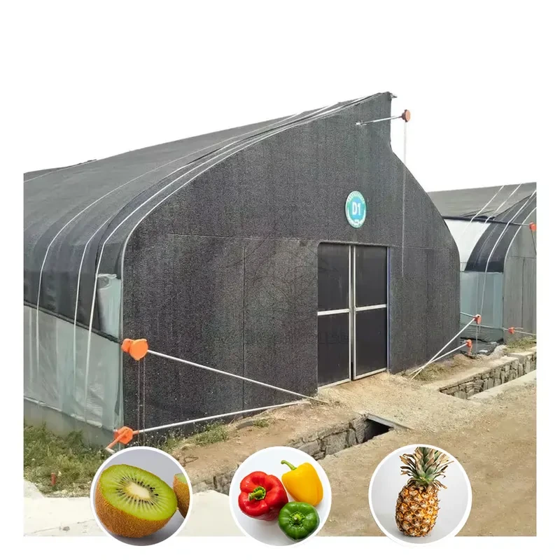 إدارة المناخ لتحقيق النمو الأمثل والتهوية والتبريد في البيوت الزجاجية المحرومة من الضوء 1