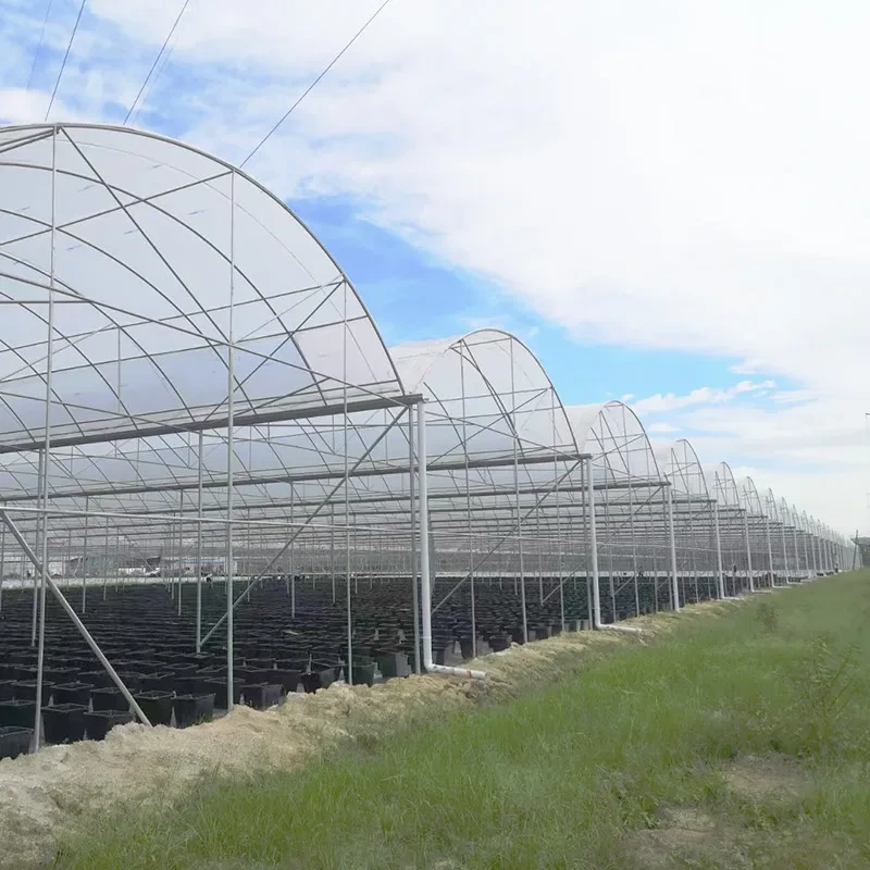 Estufa de plástico resistente a raios UV, 30x10m, para tomate e vegetais, com cobertura de filme. 1