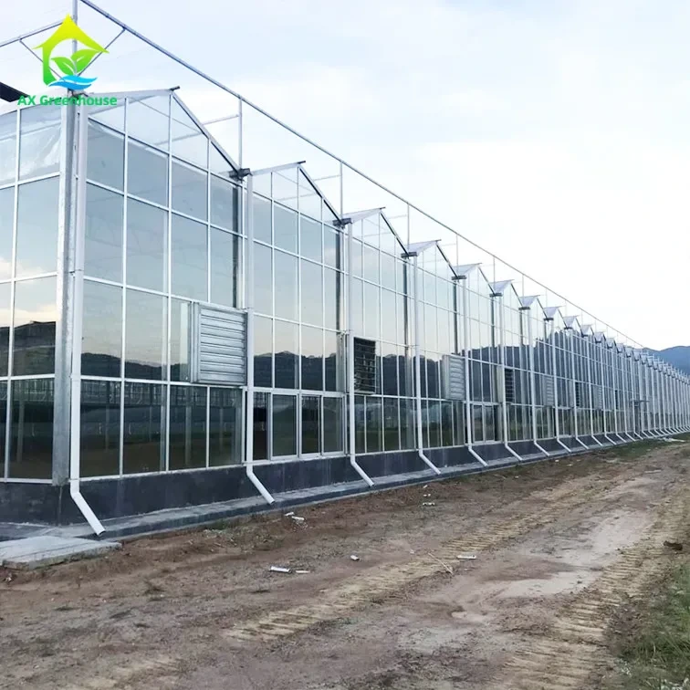 زجاج مقوى آمن بسمك 5 مم، مُصنّع حسب الطلب (OEM/ODM)، لتغطية جدران البيوت الزجاجية 1