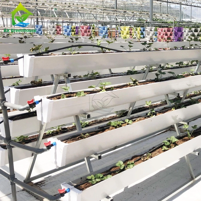 Invernadero de PVC con estructura multicapa en forma de A para cultivo de fresas 1