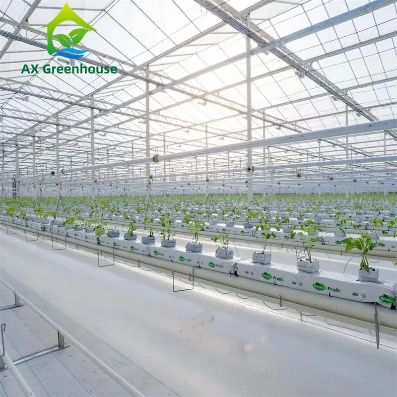 Machine d'application d'engrais par irrigation goutte à goutte - Machine intégrée d'eau et d'engrais 1