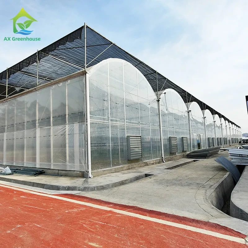 Serre tunnel agricole multi-portées en film plastique PE pour tomates et fraises 1