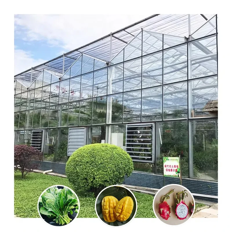 Kits de invernaderos agrícolas de vidrio resistentes a la intemperie con resistencia al viento y a la carga de nieve. 1