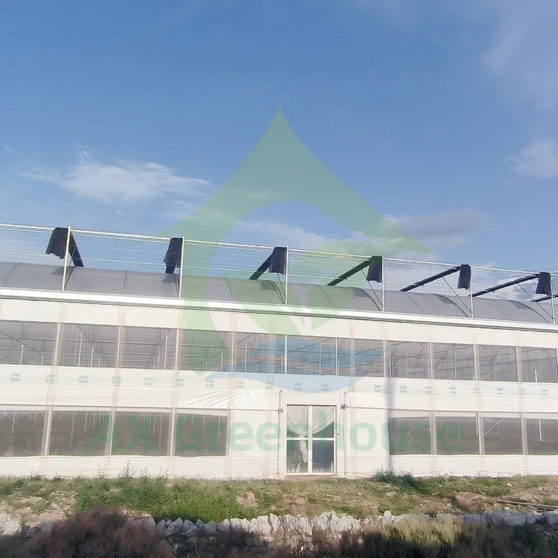 Serre tunnel agricole tropicale à travées multiples pour fraisiers avec filet d'ombrage 1