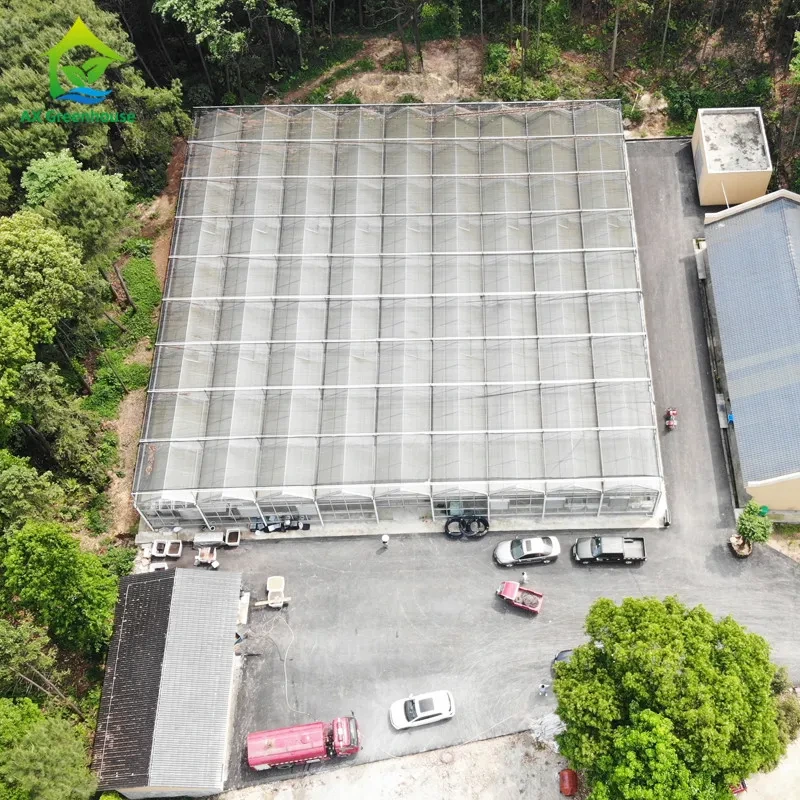 دفيئة زراعية زجاجية عالية النفاذية لشتلات البذور مع نظام تظليل 1