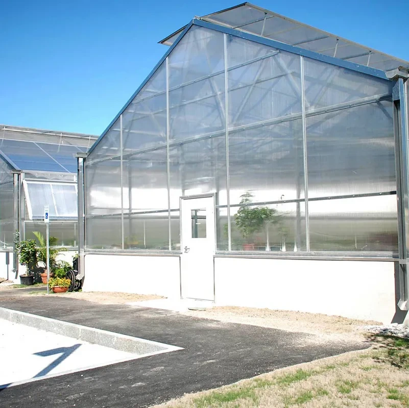 Versatile Single Span Multiwall Polycarbonate Greenhouse Ideal For Vegetables Seedlings Flowers Backyard Farming 1