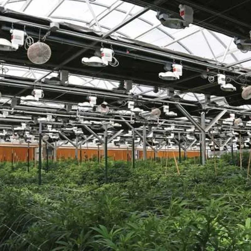 بيت زجاجي أوتوماتيكي معتم بالكامل لزراعة الفطر والأعشاب الطبية 1