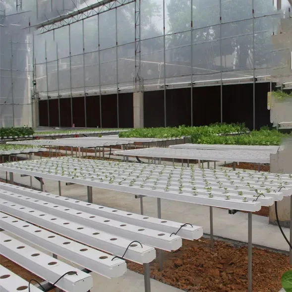 Systèmes de culture hydroponiques NFT (Next-Filter Channel) en tubes circulaires pour l'horticulture 1