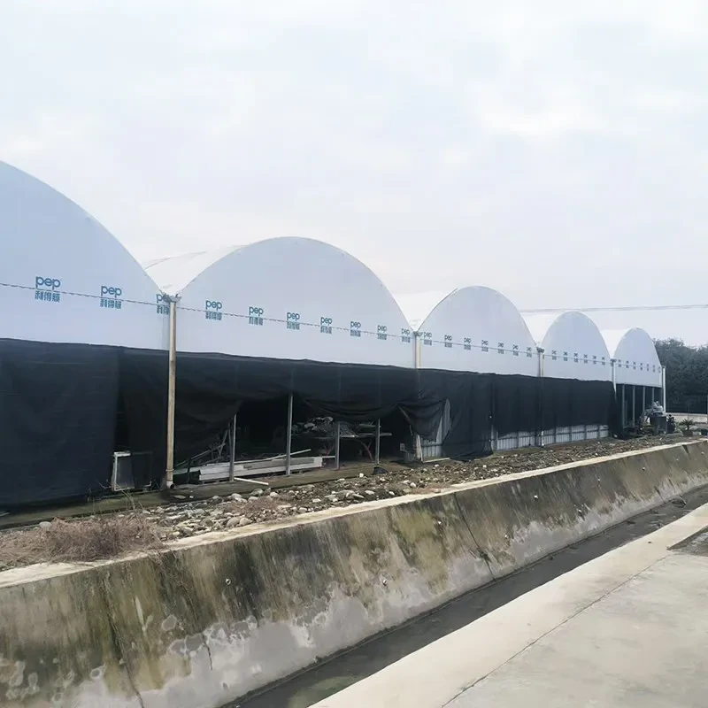 Sistema de oscurecimiento comercial para viveros, invernadero de varios niveles con película de plástico Panda 1