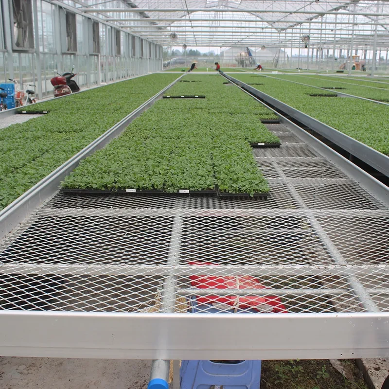 طاولات دفيئات تجارية متينة مزودة بشبكة سلكية مهواة لزراعة شتلات النباتات 1