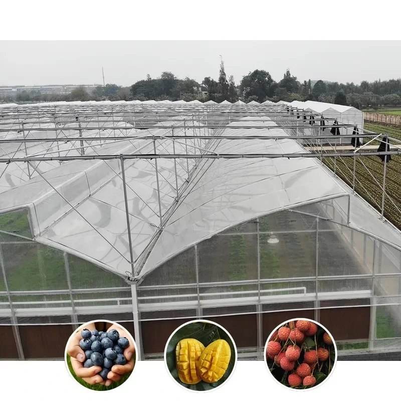 Serre agricole à tunnel en polyéthylène sur mesure pour climat tropical, film plastique, serre à dents de scie 1
