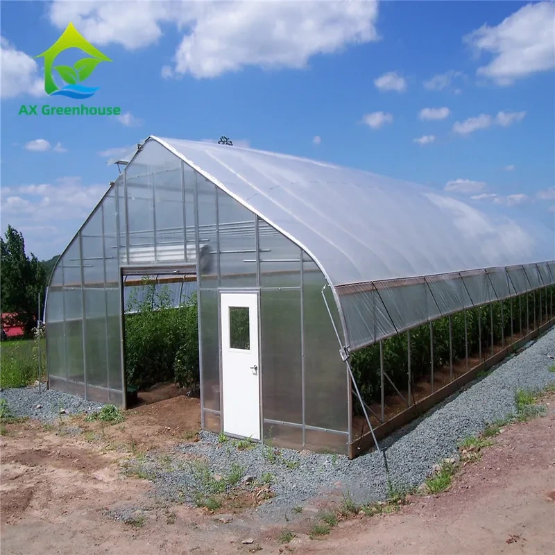 8m*30m Hydroponic Poly Tunnel Greenhouse Heavy Duty Plastic Sheeting Greenhouse 1