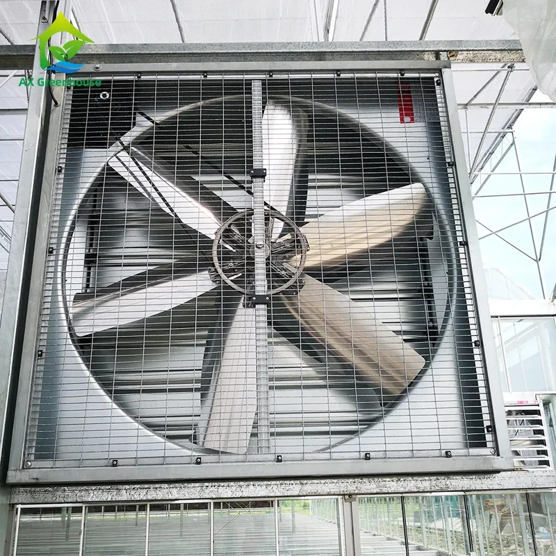 Ventilateurs d'extraction en aluminium de qualité industrielle pour serres, résistants à la corrosion, pour le refroidissement par évaporation en milieu humide¹ 1