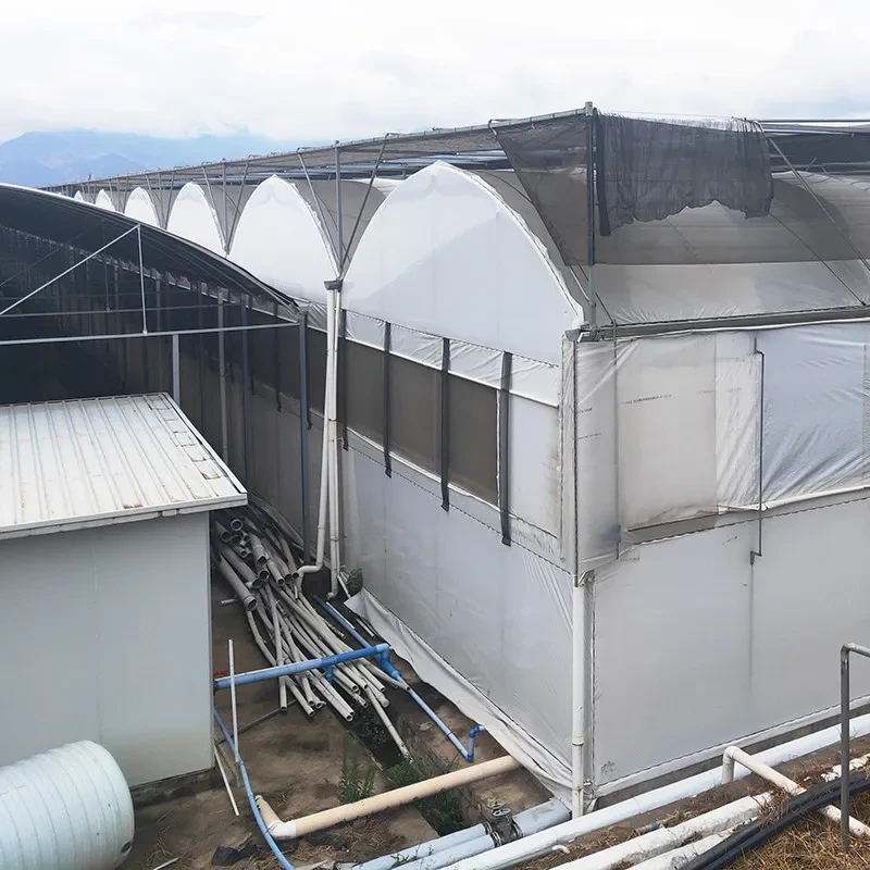 Invernadero de hongos con privación de luz de múltiples tramos y apagón automatizado 1