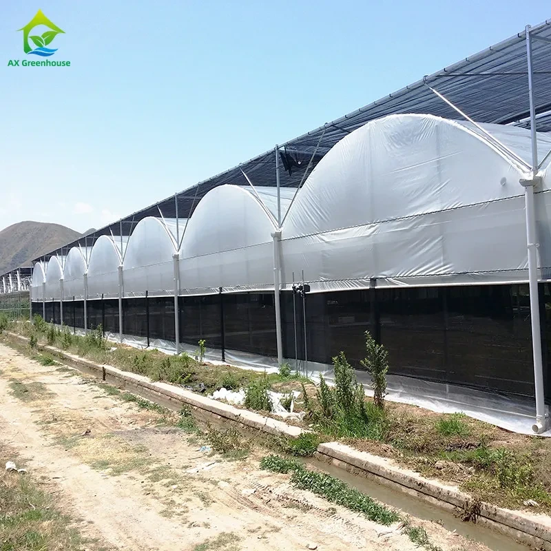 Customized Size Agricultural Tropical Poly Tunnel Plastic Film Tomato Greenhouse 1
