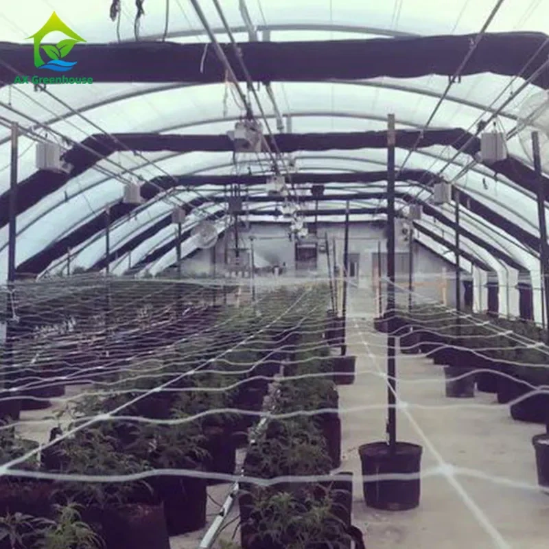 دفيئة آلية بارتفاع 4.5-6.5 متر مزودة بنظام تحكم آلي في الإضاءة، مناسبة للاستخدامات الطبية، وزراعة الزهور، وزراعة الربيع. 1