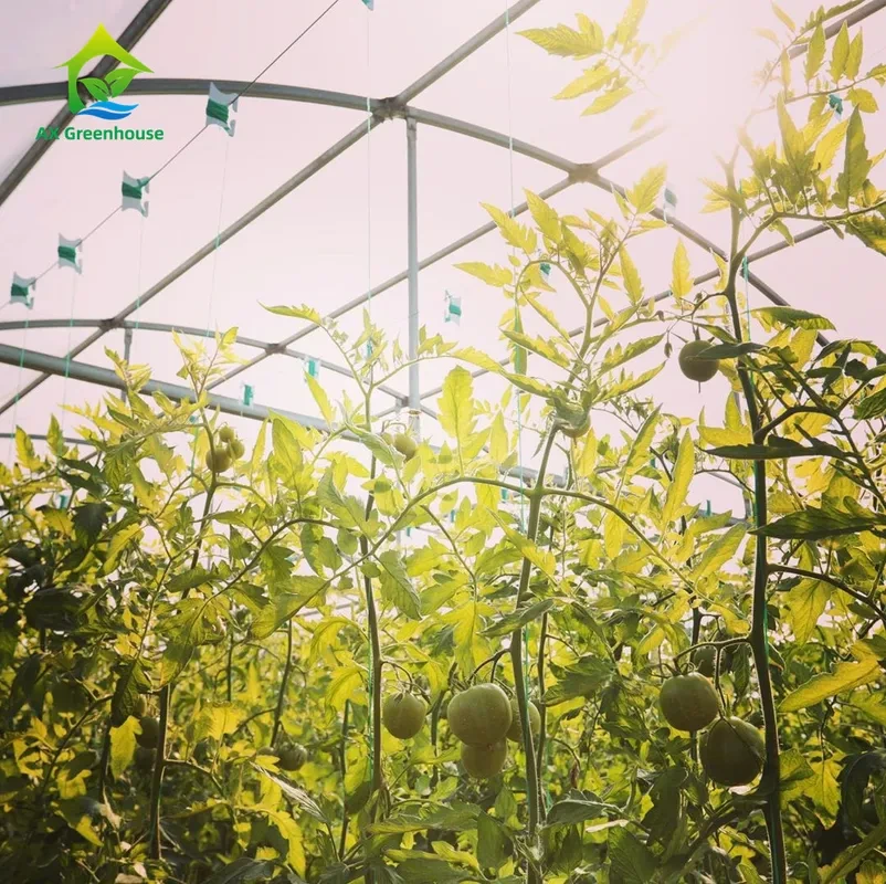 Sistema de cultivo hidropónico vertical sin suelo OEM ODM 1