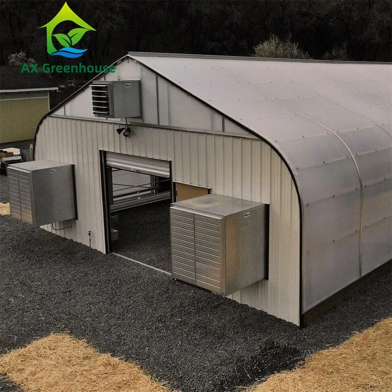 Estufa totalmente automatizada com privação de luz de 100% para plantas medicinais. 1