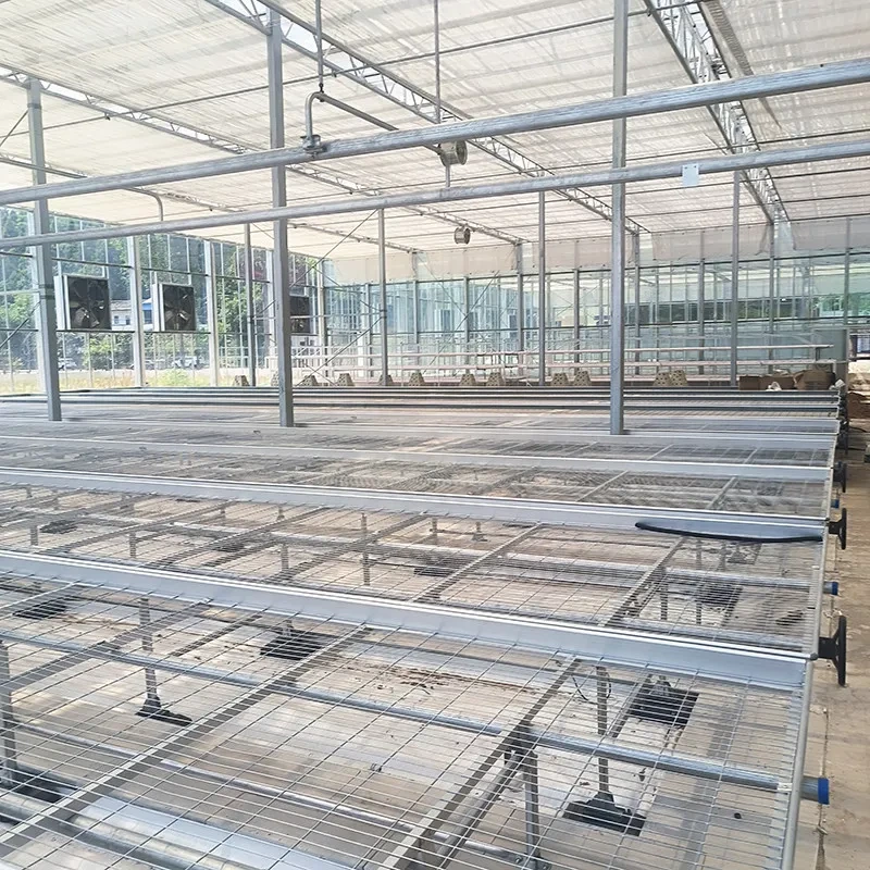 Mesa de cultivo de malla de alambre para invernadero comercial agrícola de interior, con ruedas para siembra 1